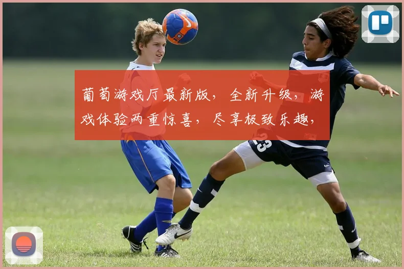 葡萄游戏厅最新版，全新升级，游戏体验两重惊喜，尽享极致乐趣，不容错过