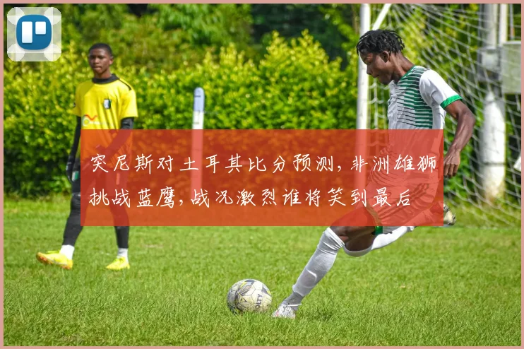 突尼斯对土耳其比分预测,非洲雄狮挑战蓝鹰,战况激烈谁将笑到最后