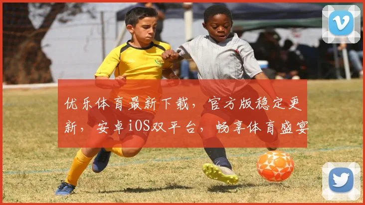 优乐体育最新下载，官方版稳定更新，安卓iOS双平台，畅享体育盛宴，立即下载
